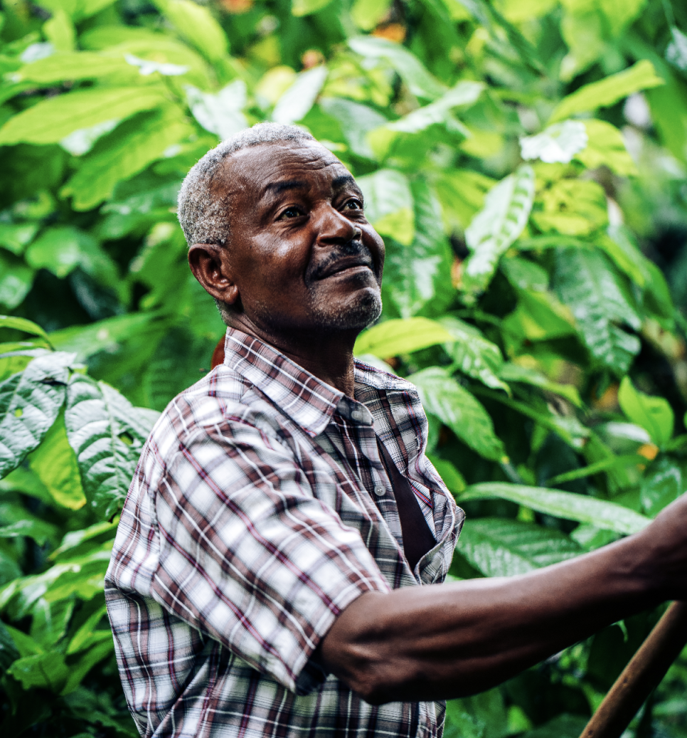 Affection, love and charm