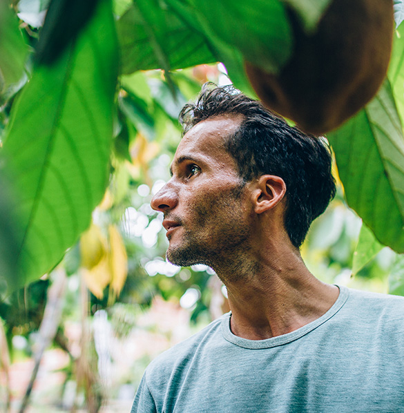 Uma marca, um projeto