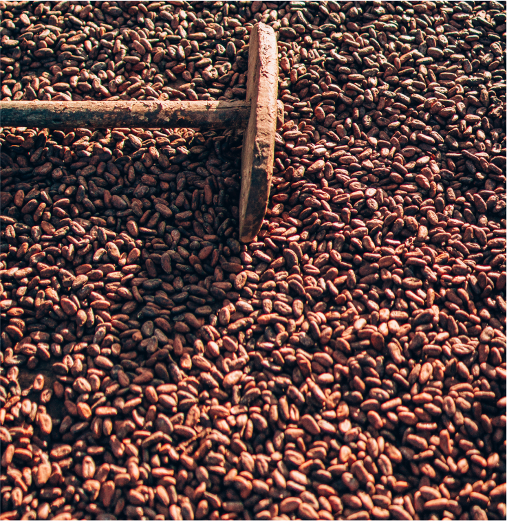 Mais cacau, menos açúcar