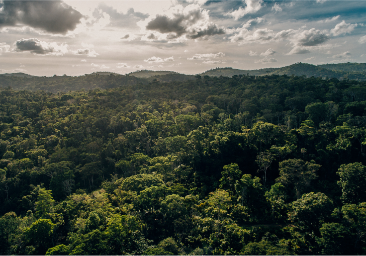 Nascida e criada no Brasil