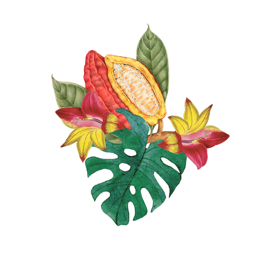 O Brasil é inspirador